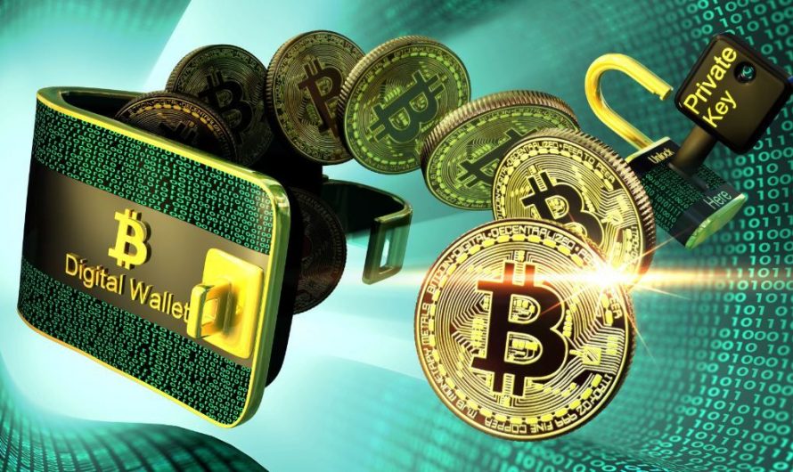 A Beginner’s Guide to Investing in Cryptocurrencies